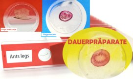 Dauerpräparate