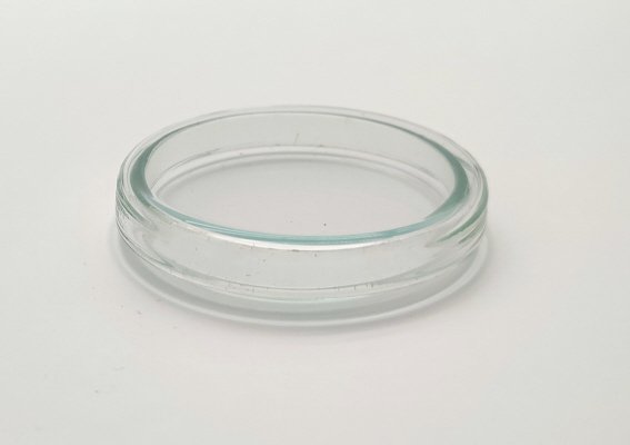 Petrischale, Kalk-Soda-Glas, sterilisierbar bis 135°C; 60*15 mm