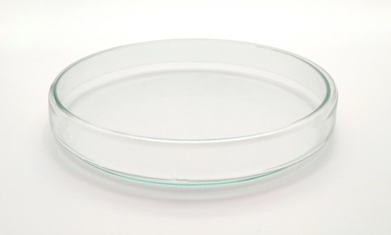 Petrischale, Kalk-Soda-Glas, sterilisierbar bis 135°C; 100*20 mm