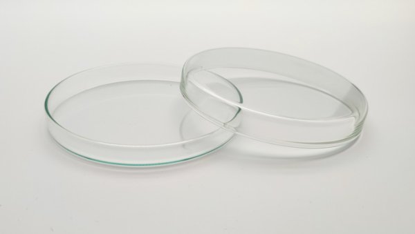 Petrischale, Kalk-Soda-Glas, sterilisierbar bis 135°C; 120*20 mm