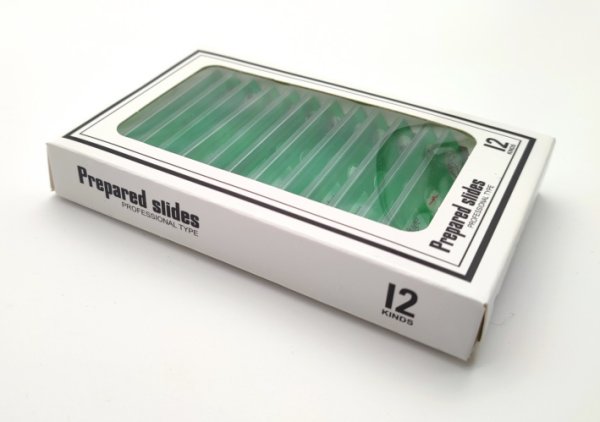 Dauerpräparate-Set >GRÜN< Pflanzen I, 12 Präparate