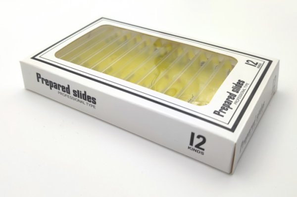 Dauerpräparate-Set >GELB< Pflanzen II, 12 Präparate