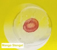 Dauerpräparate-Set >GELB< Pflanzen II, 12 Präparate