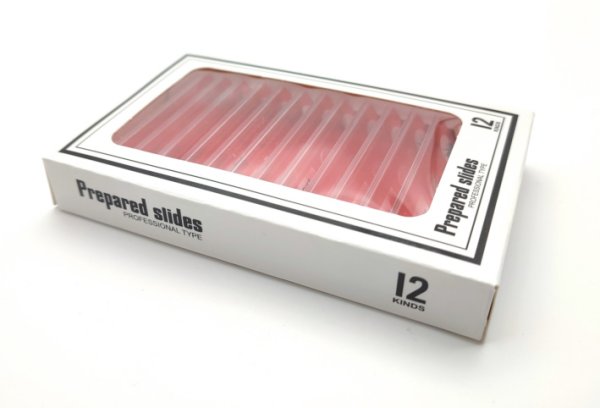 Dauerpräparate-Set >ROT< Insekten, 12 Präparate