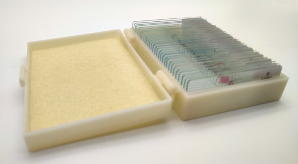 Dauerpräparate-Set BIOLOGIE, Serie B, 30 Präparate