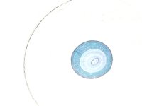 Dauerpräparate-Set BIOLOGIE, Serie B, 30 Präparate