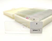 Dauerpräparate-Set BIOLOGIE, Serie B, 30 Präparate