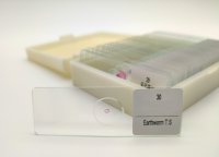 Dauerpräparate-Set BIOLOGIE, Serie B, 30 Präparate