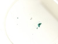 Dauerpräparate-Set PILZE, 15 Präparate