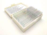 Dauerpräparate-Set PILZE, 15 Präparate