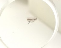 Dauerpräparate-Set PILZE, 15 Präparate