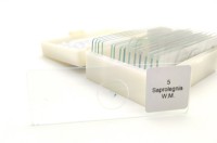 Dauerpräparate-Set PILZE, 15 Präparate